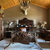 antler desk for study