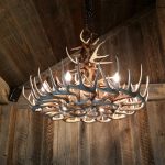 whitetail antler chandelier