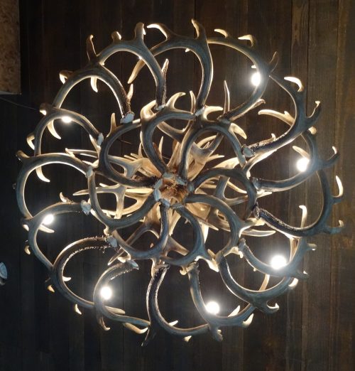 bottom view of whitetail deer antler double turn chandelier