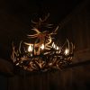 Whitetail deer antler chandelier porcupine