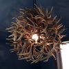 Starburst Whitetail Antler Chandelier