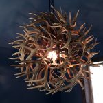 Starburst Whitetail Antler Chandelier