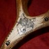 wolf scrimshaw on antler cribbage board