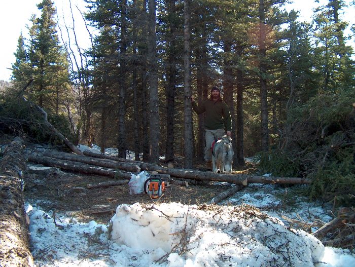 Clearing the Land - Alaska Cabin1