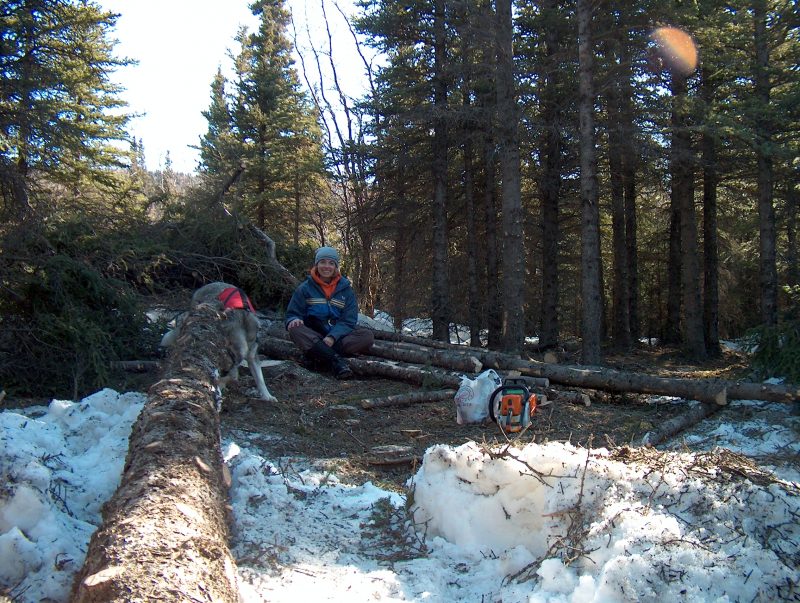 Clearing the Land - Alaska Cabin