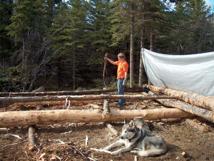 Peeling cabin logs