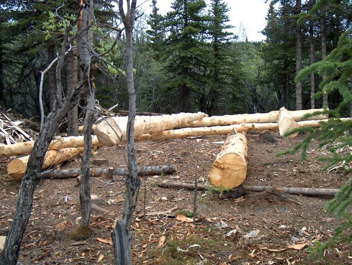 Log Peeling Zone