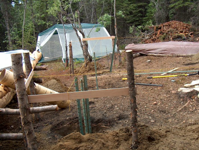 Future Log Cabin Site