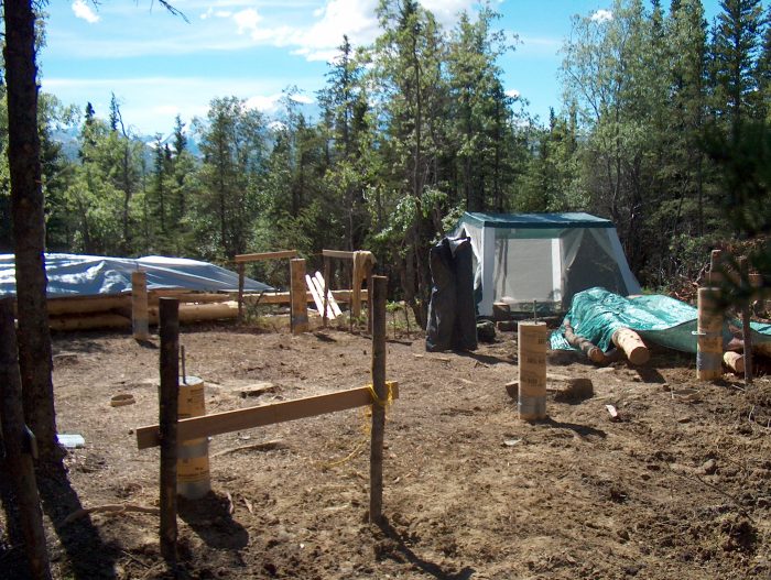 Future Log Cabin Home