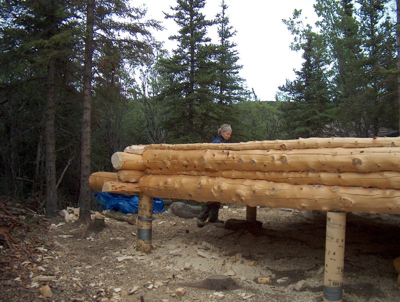 Build your own log cabin