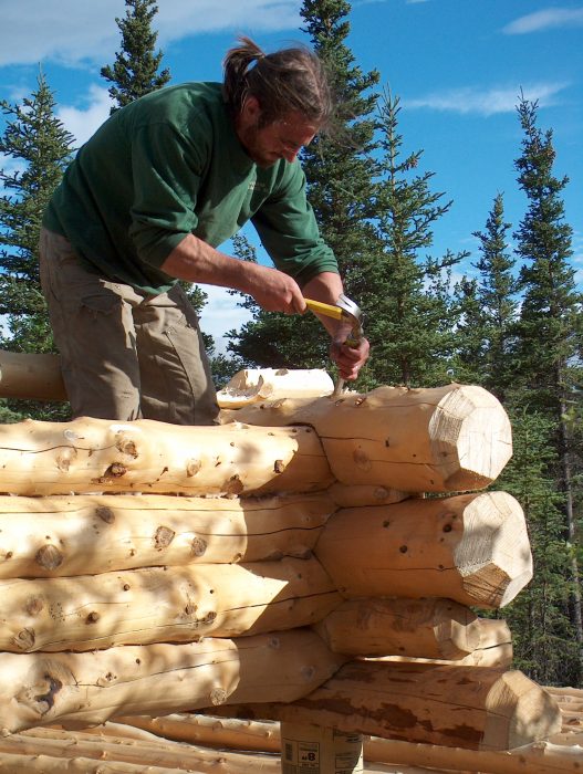 Log detail work