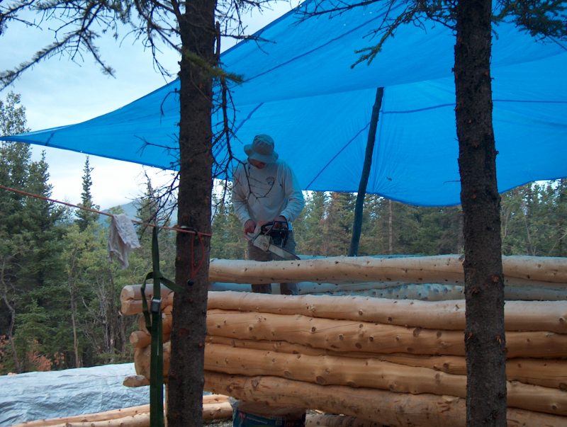 rainy day log cabin build