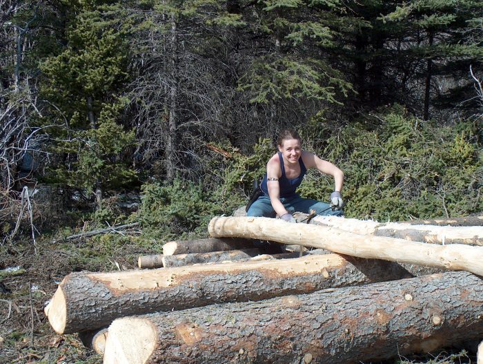 Peeling cabin logs1