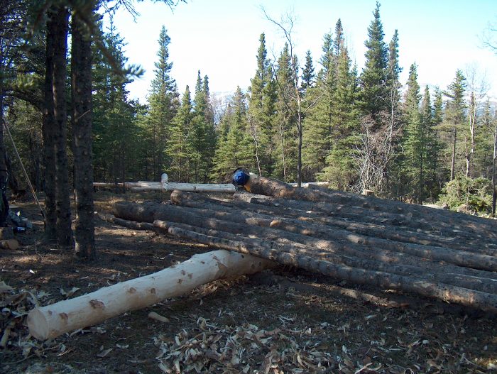 log pile