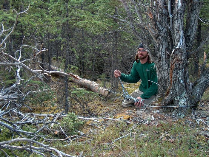 Moving logs