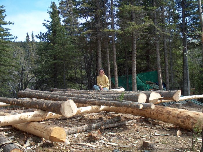 Log cabin build site