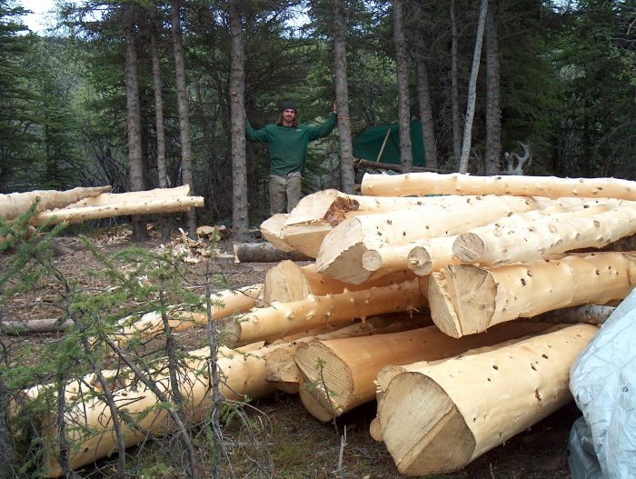 Peeled log cabin logs