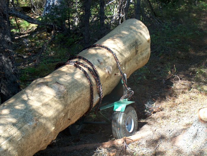 DIY Log Cabin