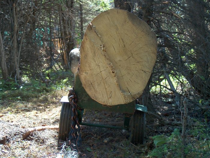 Log Cabin logs