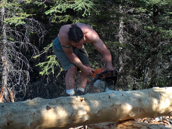 Log cabin chainsaw work