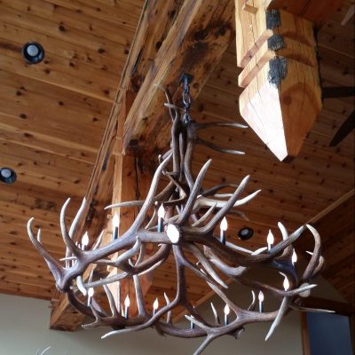 Trophy Elk Antler Chandelier