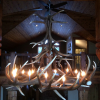 trophy elk antler chandelier 2