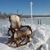 antler bone throne outside