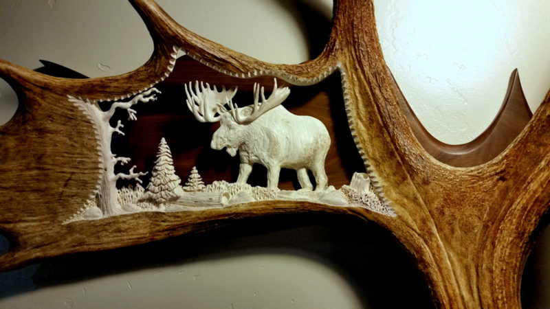 large bull moose antler carving