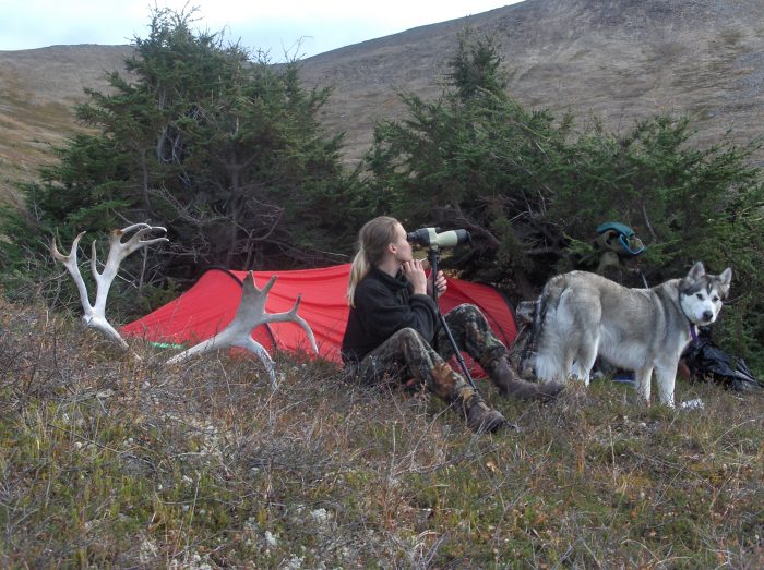 caribou camp