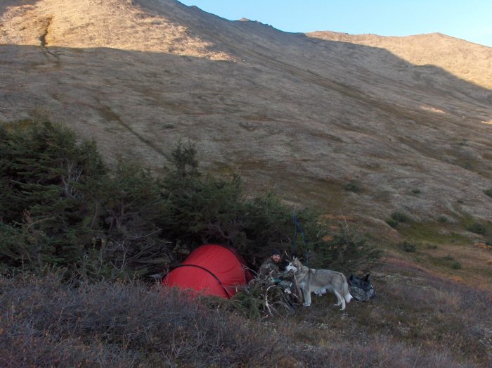 caribou camp