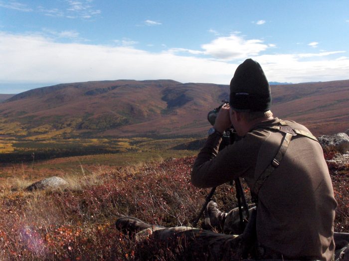 moose glassing