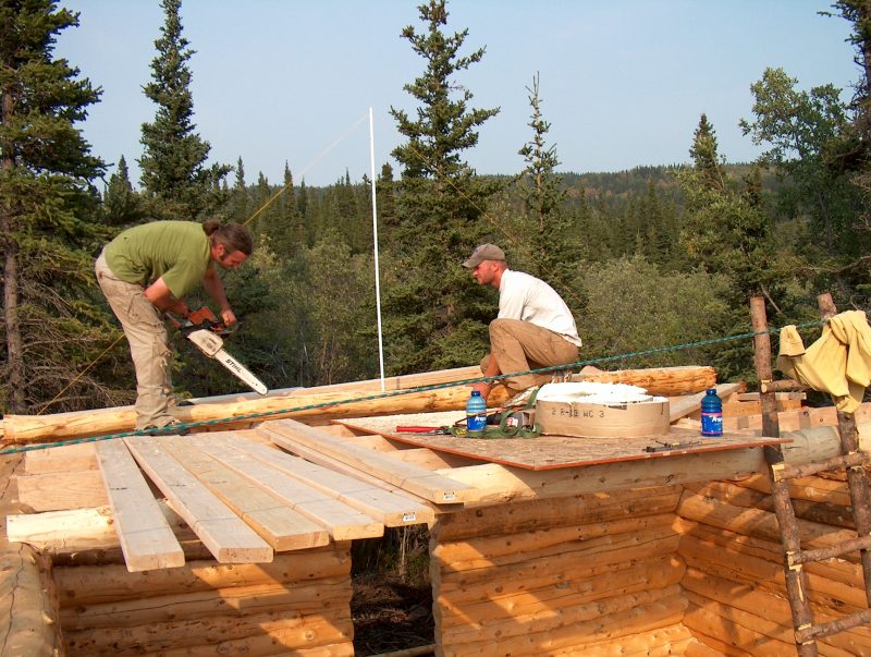 Log gable ends going up