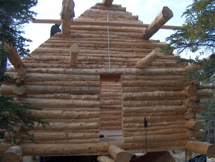 Log cabin walls and gables