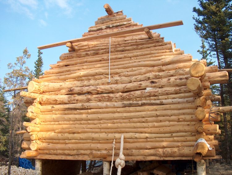 South Log gable wall