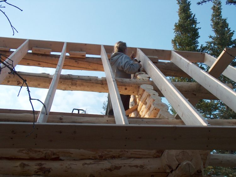 log cabin roof joists