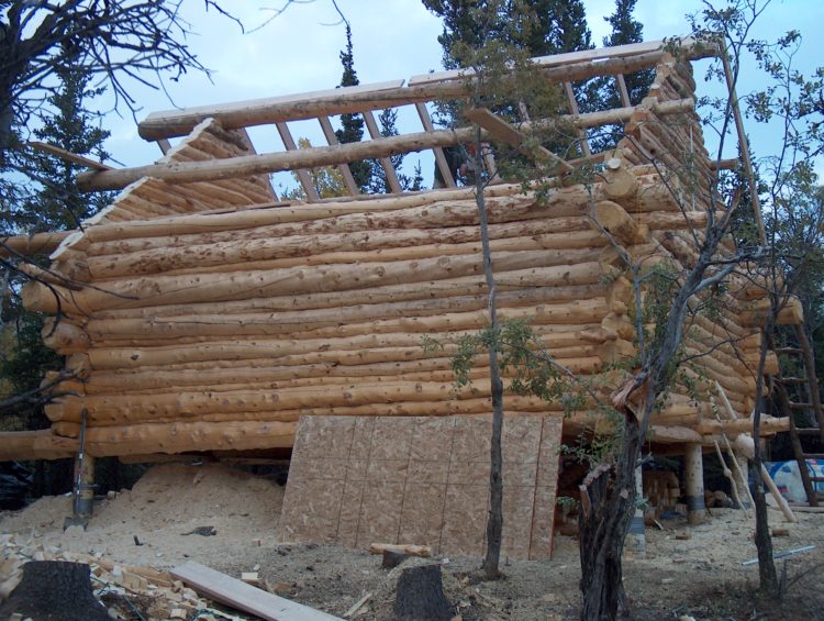 cabin roof progress