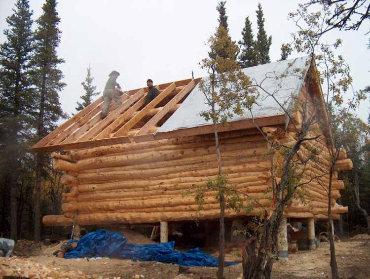 Log cabin roof project