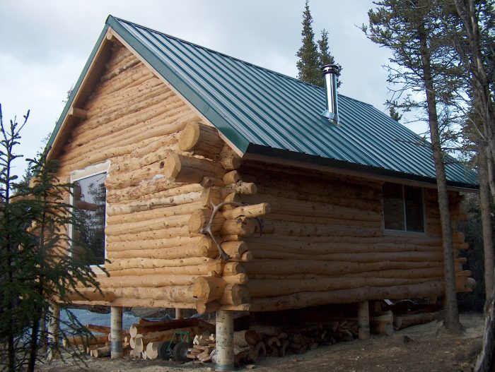 Alaska log cabin build