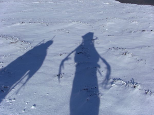 caribou sillouette