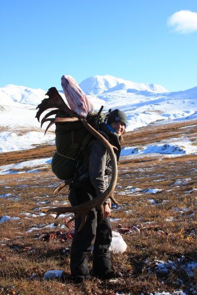 caribou hunting alaska