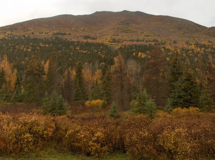 caribou_hunt_hike