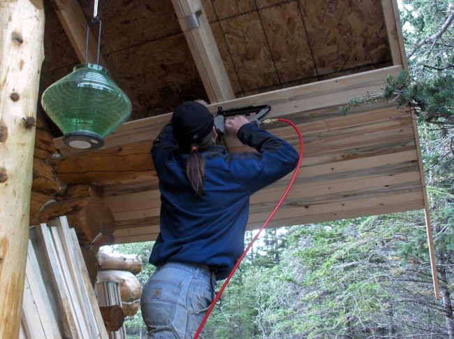 Ceiling boards