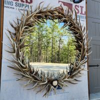 large round antler mirror