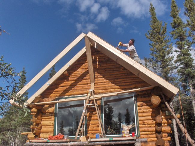 Log cabin roof extension