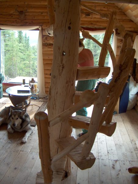 Log spiral stairs