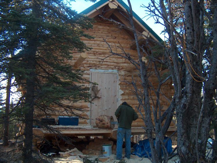 Log toilet