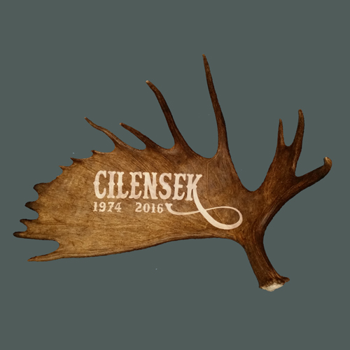 XL moose antler name carving