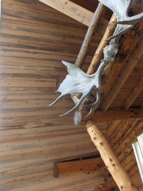 cabin ceiling boards