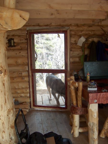 cabin screen door