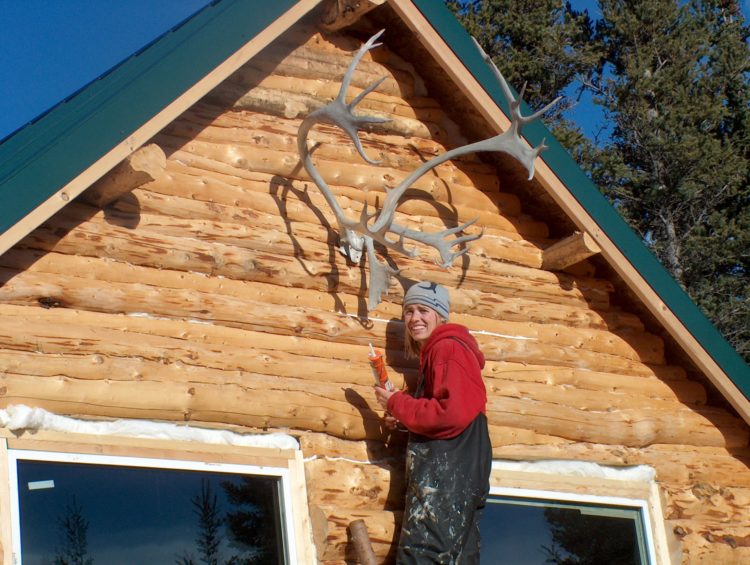 caulking log cabin